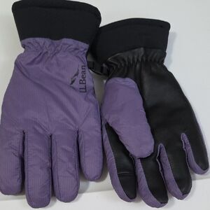 L.L. Bean Black and Purple Winter Gloves